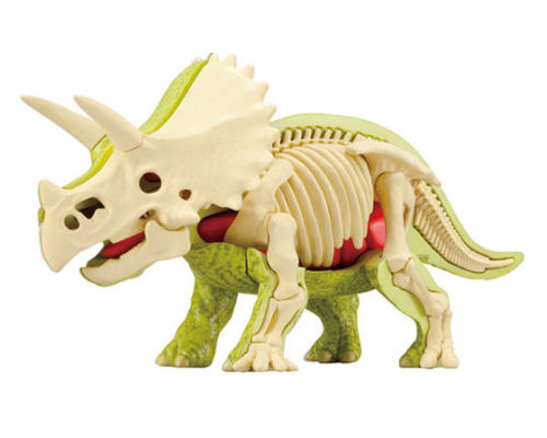 3D Triceratops Dissection Puzzle