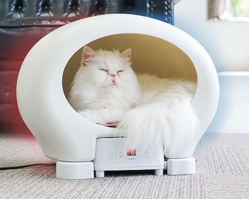 Animal Capsule Hotel for Cats