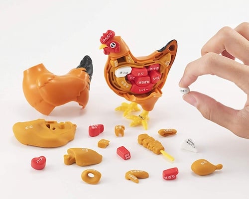 3D Chicken Dissection Puzzle