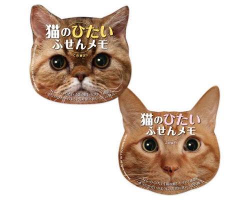 Cat Brow Sticky Notes