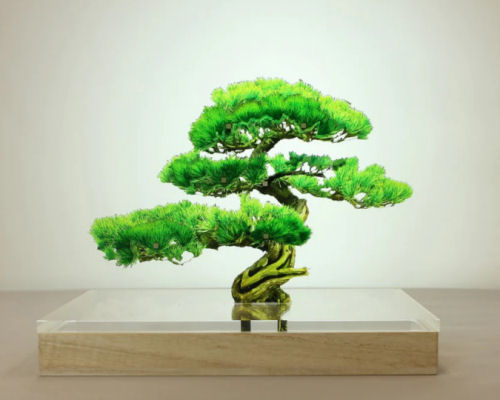 toumei DIY Bonsai Tree