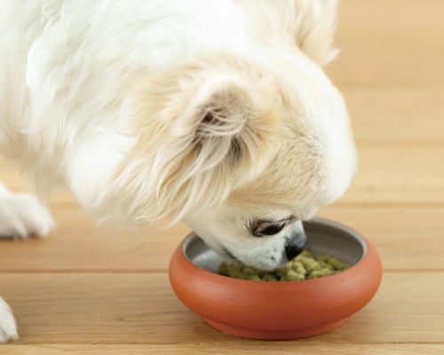 Toko Dog Food Bowl