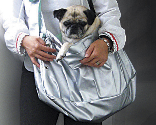 Pet Earthquake Emergency Bag Kit