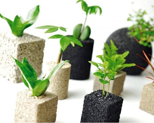 Eco Pochi Plant Kit